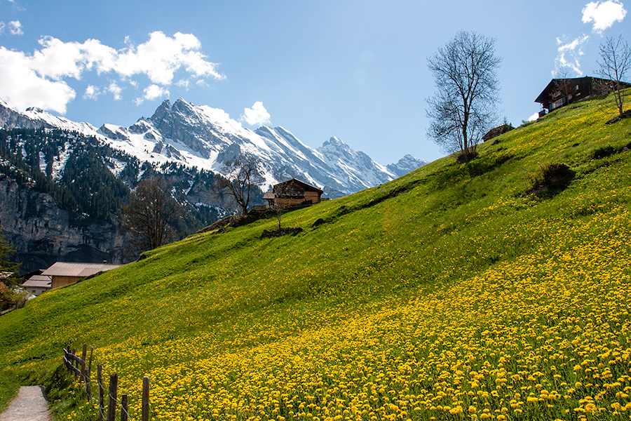 Gimmelwald_8_Copyright_Heidi_Broennimann